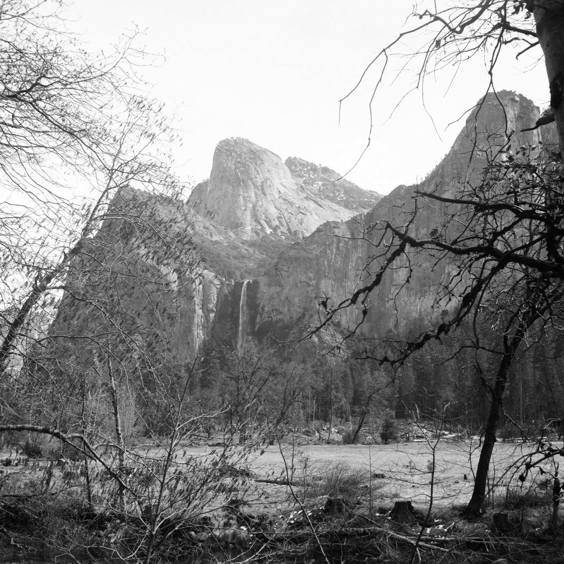 Bridal Veil, 2021, Silver gelatin print on paper