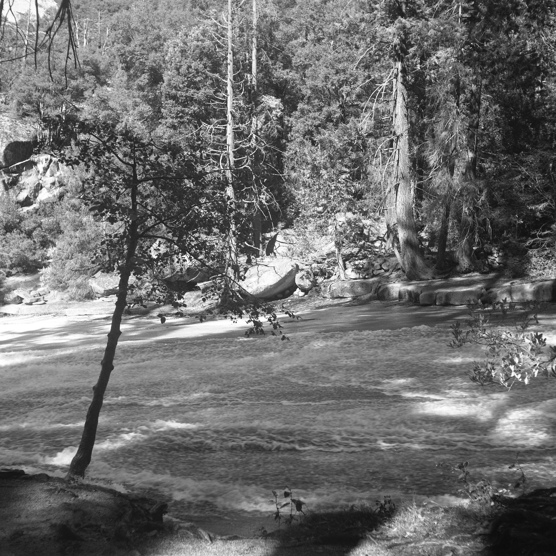 Silver Apron C, 2021, Silver gelatin print on paper