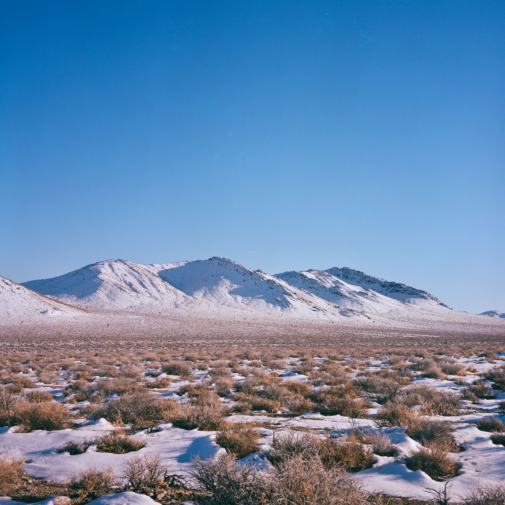 Panamint, 2023, Digital pigment print