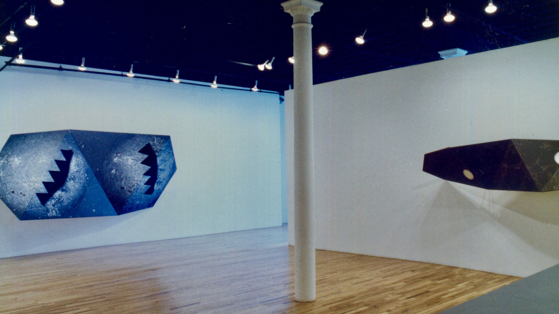 Exhibition at Nancy Hoffman Gallery, New York, 1990